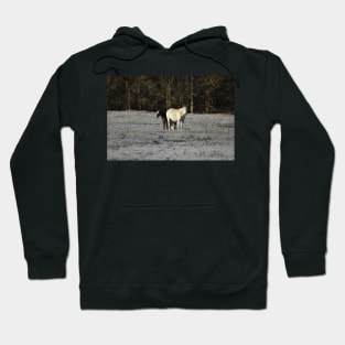 Wild Horses Hoodie